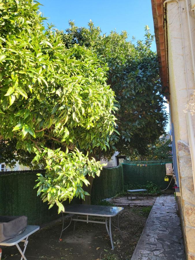 Clementine Apartment Collioure Luaran gambar